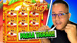 fortune tiger simulador para mobile